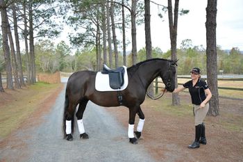 MCM Mystique 2010 Moriesian filly. Eitsje X Mt Tawonga Monique. Bec is thrilled with her new perfect pony. :)Mystique lives in QLD.