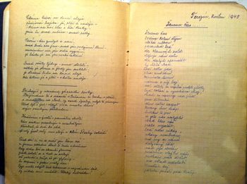 Grandma Hana's poem written in Terezin in May, 1943. "We are chasing time...turning the wheel of history; the wounded ship moves through the fog....
