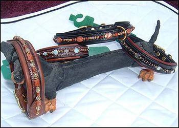 Only dressed in the best! They both love wearing their custom collars, order info: mobilehrs@aol.com