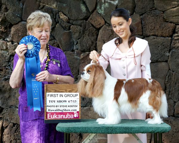 Toy Specialty win April 2013 under Judge Ann Kennedy Handled by our friend Jennifer Oki!