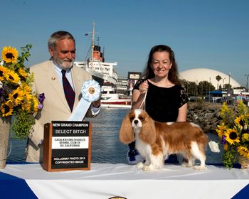 Select Bitch for her Grand Championship Title under Michael Forte......less than 3 months after having puppies!