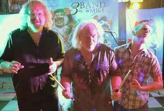3 Band Mice