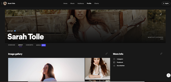 example of spotify for artists profile