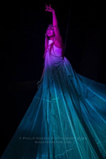 New Year's Eve performance at The Kauffman Center for the Arts with Quixotic Fusion. Photo by Philip Koenig