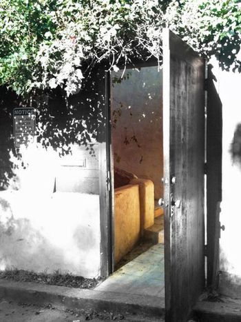 "The Doors Door" The entrance to Jim and Pam's "Love Street" home. Open, but nobody home. This photo was taken shortly after an arsonist set the home ablaze the evening of December 29, 2011.