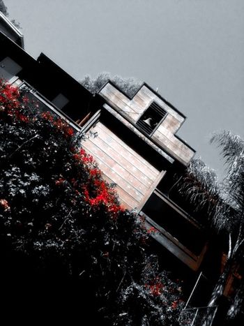 "Bells of Love" A familiar sight and landmark in Laurel Canyon, the bells on top of what is known as the ‘Love Street House” at 8021 Rothdell Dr. Jim Morrison and Pamela Courson lived at this house where he penned the famous song and at the time that the debut album by The Doors was released, and they were the subject of the very first billboard advertising a rock and roll band, located on Sunset Blvd., just west of Laurel Canyon.