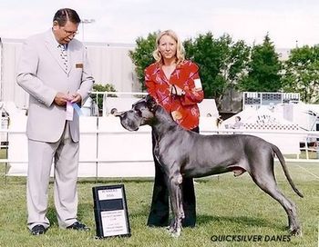 "Eddy", Firstedition-B Dei Monti Del Keraton 1st place Open Male, Winners Dog Lethbridge & District Kennel Club, Sunday June 24th, 2007 Judge- Neil WM Graves