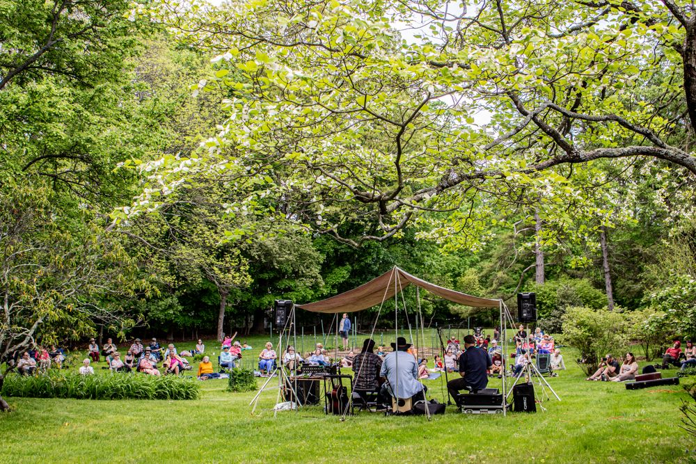 Private Backyard Concert, May 2021