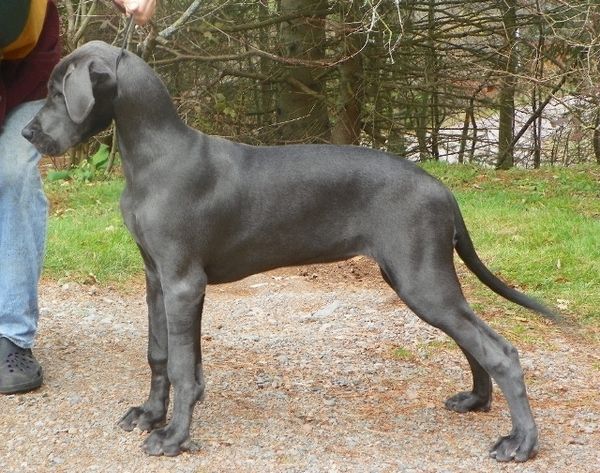 Sky, 16 weeks