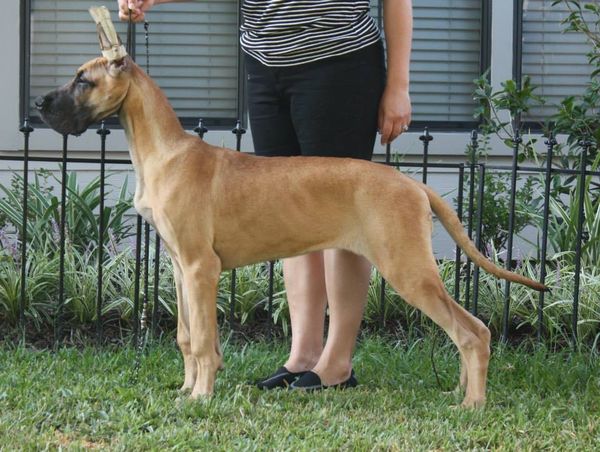 Almost 20 weeks old
