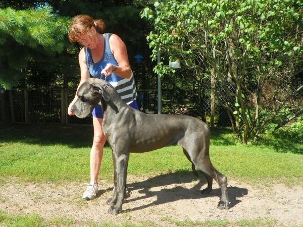 Bristol at 10 months old ( blue collar girl)