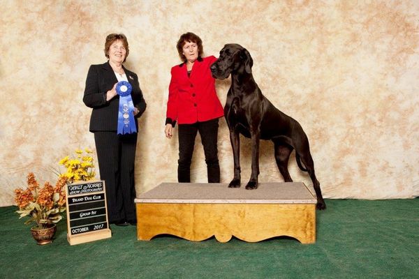 Group 1st at the Island club show.