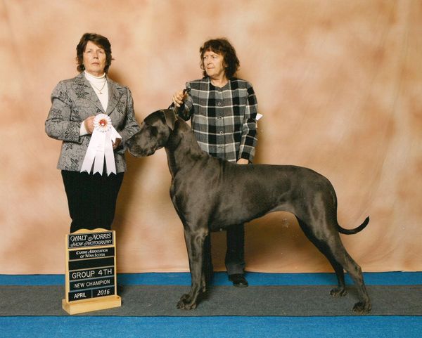 Sky obtaining her elite CFC championship, with a group 4.Under respected judge Colette Muldoon from Ireland.