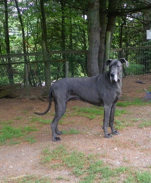 My lovely Sky on her 8th birthday.