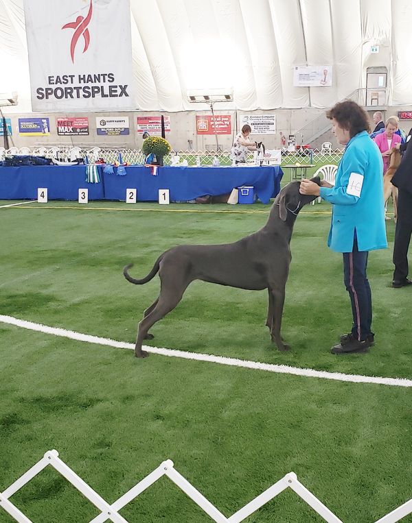 14.5 months old.