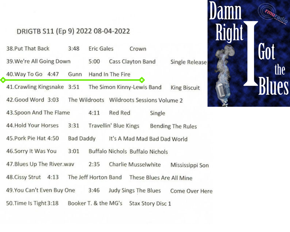 Donald Luisi, Damn Right I Got The Blues