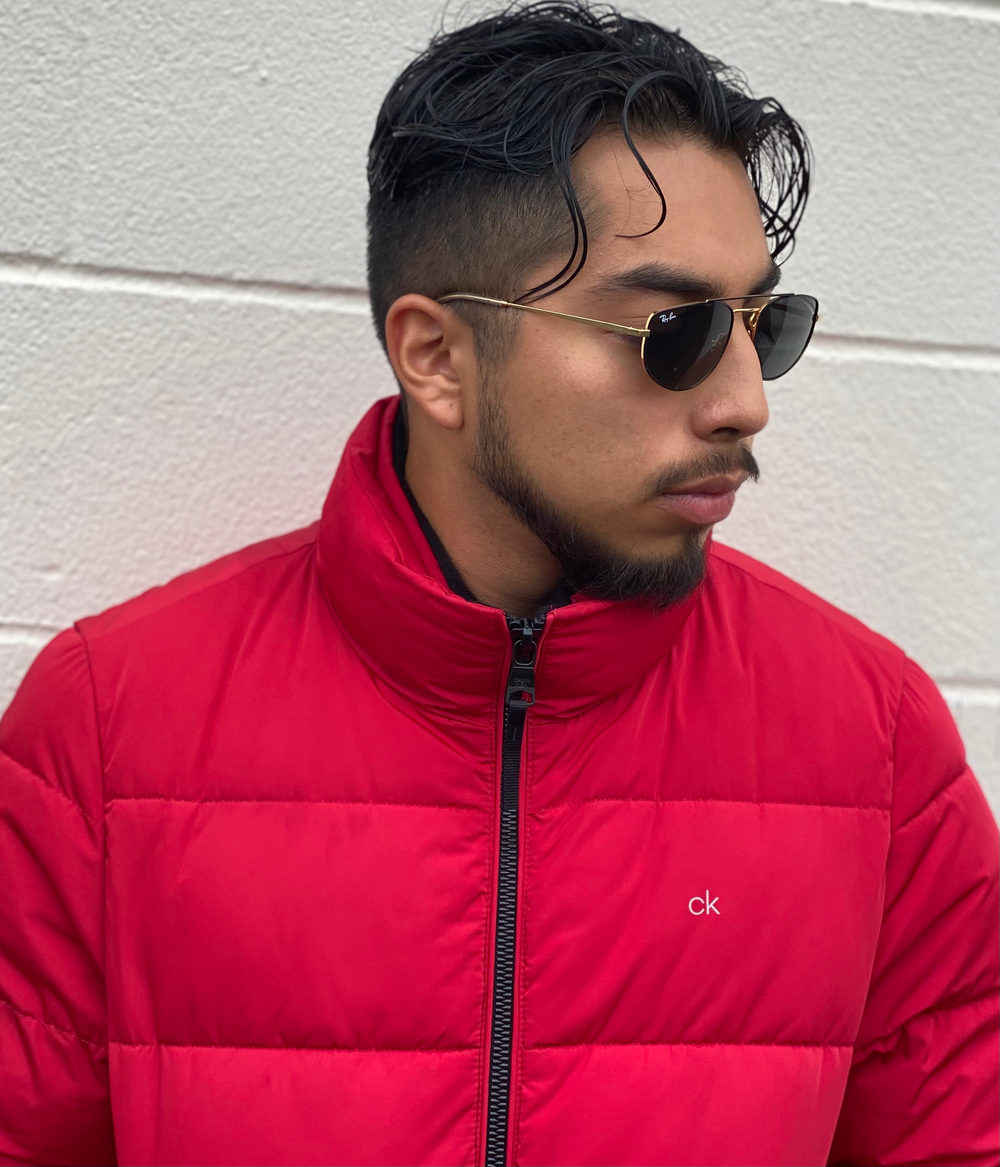 Musical artist, American rapper, singer-songwriter, Portland, Oregon