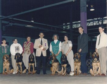 The Hunter x Yeager litter winning Stud Dog & Brood Bitch at the 1998 ABC Eastern Regionals. From the left are Bonnie, Sam, Honey, Hunter ,Yeager, Jager and Quinn. Jan & Julie (with Hunter and Yeager) are justifiably proud of this litter!