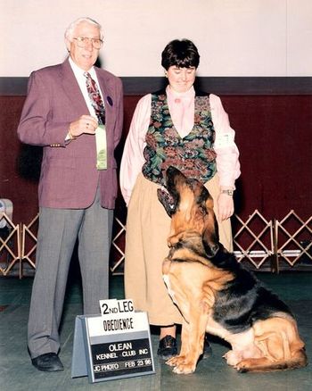Obedience began as therapy. 62 trials later, I let Toby quit without finishing that last leg of the CD. He would have loved Rally