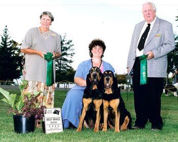 Multiple Best Brace In Show team....winning BBIS at more than 8 shows including both American and Canadian Nationals