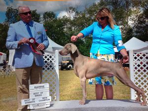 Joey new Champion at 15 months