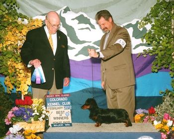 Rocky's first weekend out shared with his sister and brother and still received his own 4 point major. Daddy was so proud of his little guy.