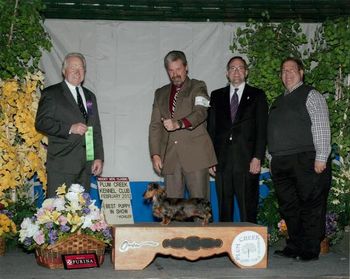 Moscato and uncle John winning BEST PUPPY IN SHOW at the Denver shows 2-17-12 Thank You Susan for letting us share in this special day.