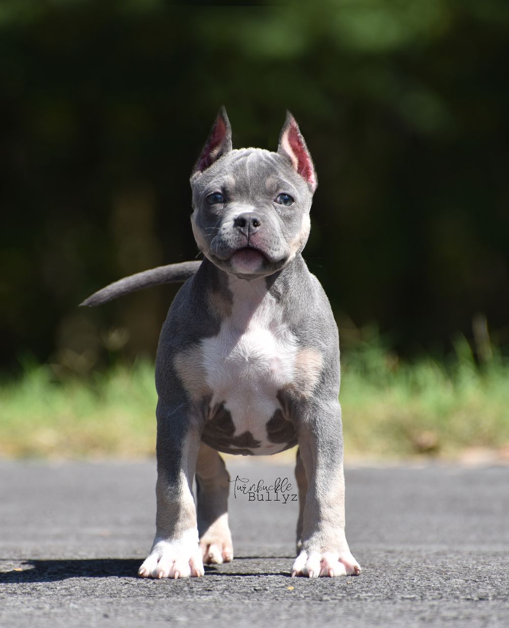 Ms. Black - 3 months