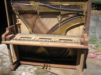 1918 Lafarrgue upright after cleaning and stripping, inside and out, we dont use chemical strippers ever. White stuff on the ground is sodium bicarbonate, really the only way to go on removing paint/finish on anything with carvings