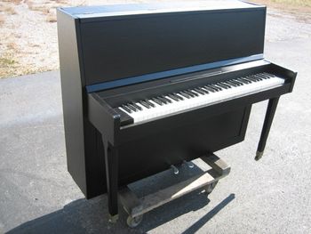 1965 Marco Polo Side view, Someone threw this away and it was on the curb waiting on us, we put a new satin black finish on it.