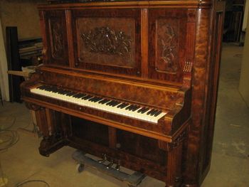 1895 AB Chase after refinishing and repairs. You are going to say why did they ever paint it, well because the old finish ( shellac) crystallized and hid the burl over time.