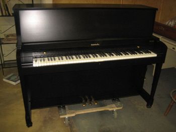 1980 Baldwin 243 After Refurbishment, New lower door made from template, New correct casters, Satin Urethane Black, buffed keys, Bench to match with natural lid.