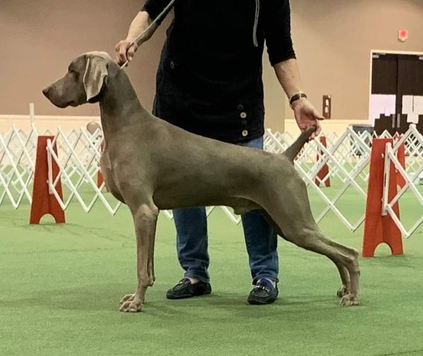 Gus at 2019 WCA National.
