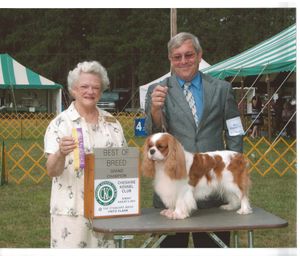 Grand Champion Laurelwind Go The Distance ("Miles")
Miles is retired now, and lives with a dear friend on the Isle of Palms