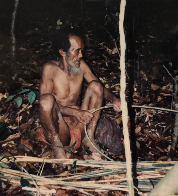 Pak Murau - lowland rainforests of Sumatra