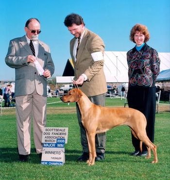 CH EchoRidge Spellbound By Tigris, MC, NA, NAJ, CGC aka Hermani finished her championship with a 5- and two 4-point majors