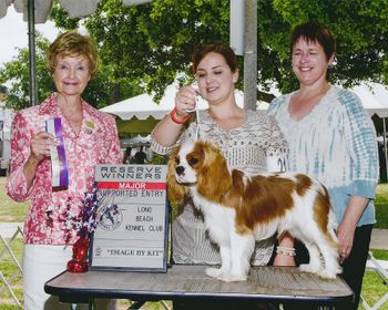 RWD to a 4 point major on the CKCSCSC Specialty weekend in a very nice and large entry at just shy of 10 months old. Judge Shirley Limoges.