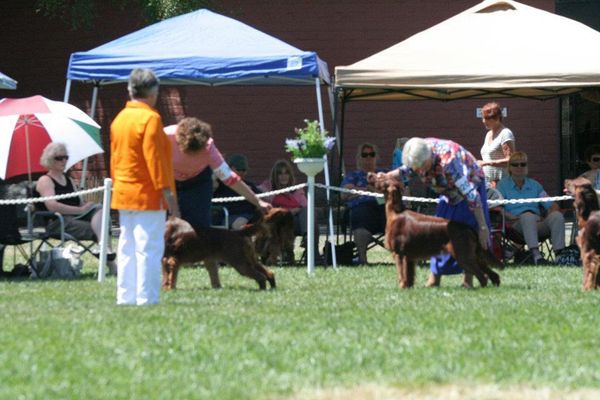 Penny at the 2012 National. 6-9 Sweepstakes class.