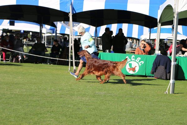 Go Bentley Go!!!
Thank you Leslie Brochu for the beautiful photo.