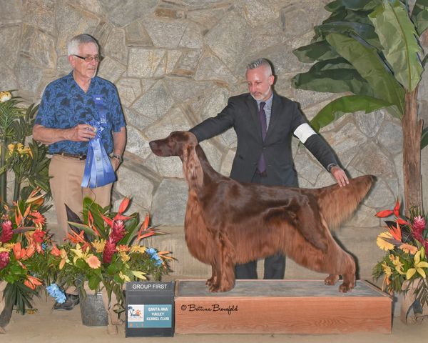 Bentley going Group 1 at Santa Ana Valley KC, Sept 2018!! Presented by Loran Morgan.