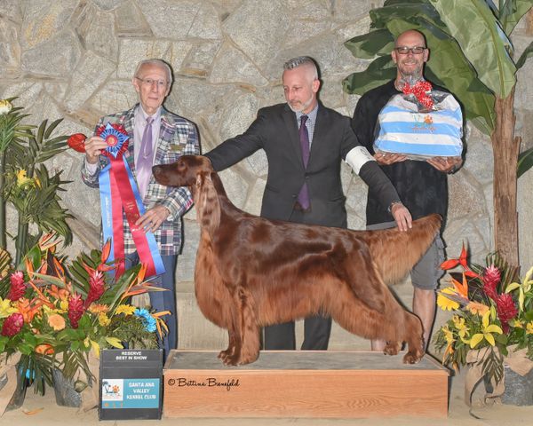 Reserve Best In Show!! ??