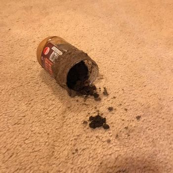 The story goes, this peanut butter jar was stolen and buried in the backyard, then dug up... and placed on the carpet. You can't make this stuff up.