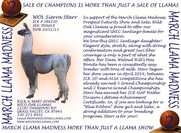 Click on the picture to see her Legacy Pedigree