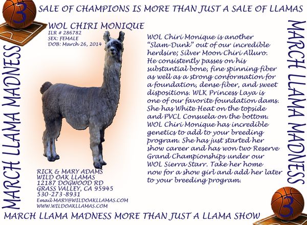 Click on the picture to see her Legacy Pedigree.