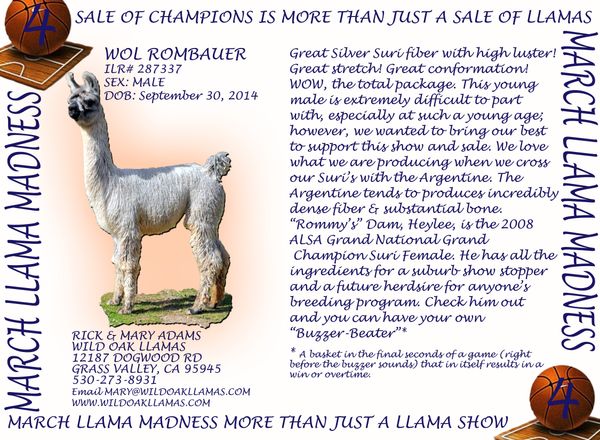 Click on the picture to see his Legacy Pedigree