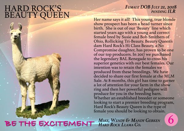 MIKE, WENDY & MANDY GERKEN . HARD ROCK LLAMA CO . 1342 CO RD 1 . ADA, OH 45810 . 419-634-1124 . GERKEN@WCOIL.COM . HARDROCKLLAMACO.COM.
$3750 sold to Justin Pelletier and Eric Valencia, NC