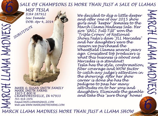 Click on the picture to see her Legacy Pedigree.
