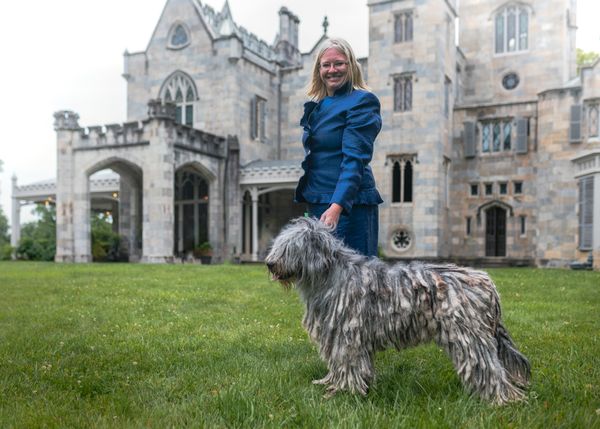 CH Ghita Della Luna Di Lana
Lyndhurst Mansion, NY