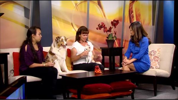 "Nikita" with Kiera & Tina on Hawaii News Channel