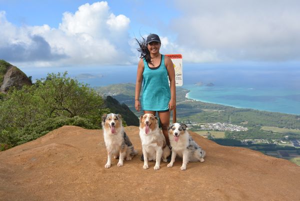 Rivet, Nikita & Lyric on Kuliouou Ridge Trail